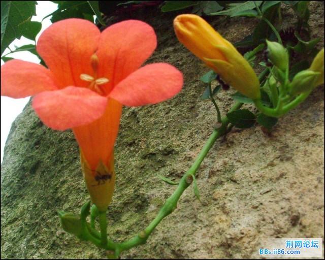 DSCF5776.JPG