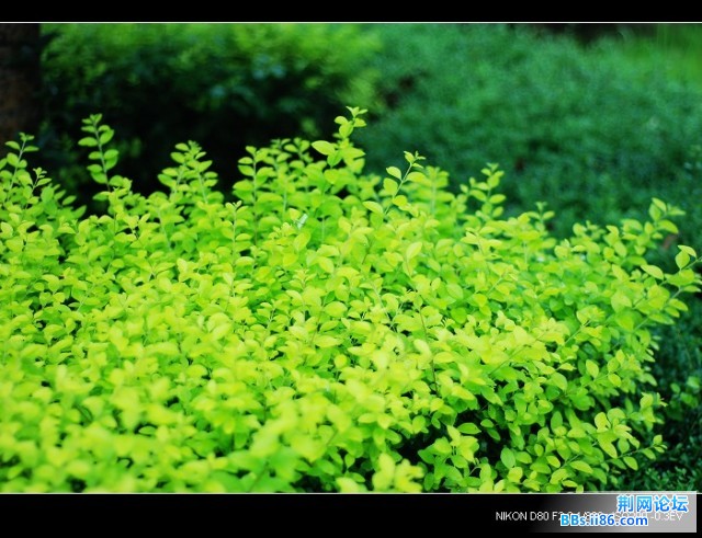 nEO_IMG_DSC_5548.jpg