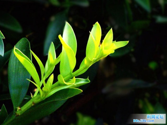 DSCF0770.JPG