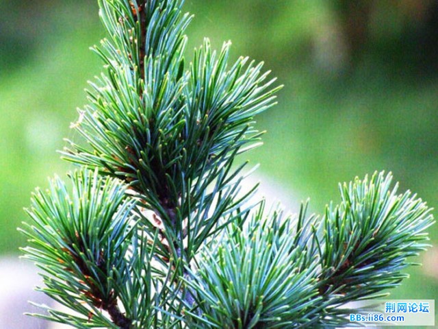 DSCF0732.JPG