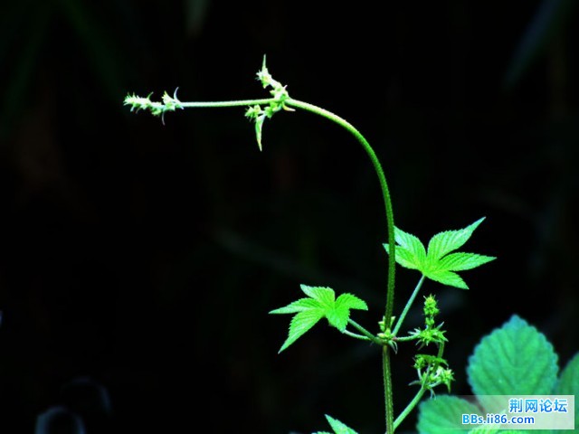 DSCF0846.JPG