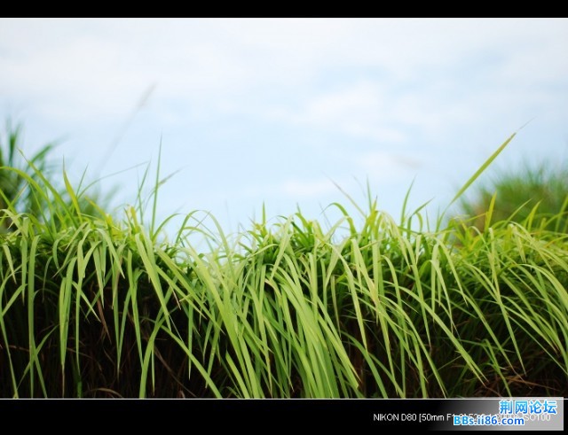 nEO_IMG_DSC_5914.jpg