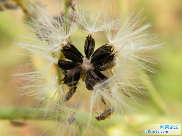 DSCF0612.JPG