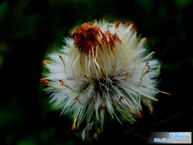 DSCF0364.JPG