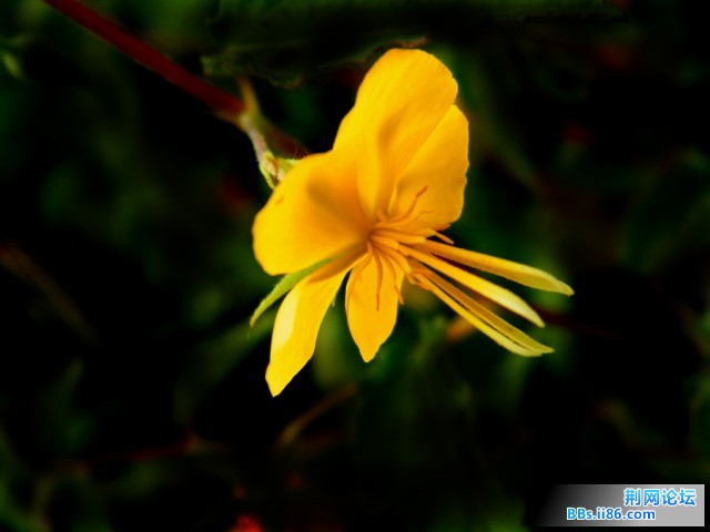 DSCF0429.JPG