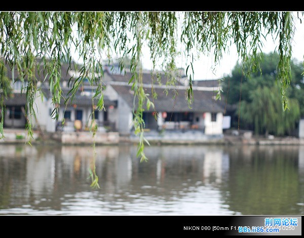 nEO_IMG_DSC_7463.jpg