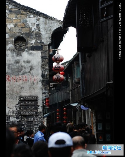 nEO_IMG_DSC_7392.jpg