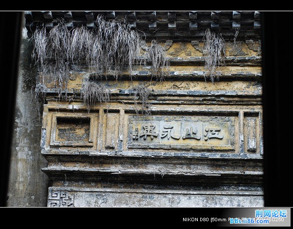 nEO_IMG_DSC_7389.jpg