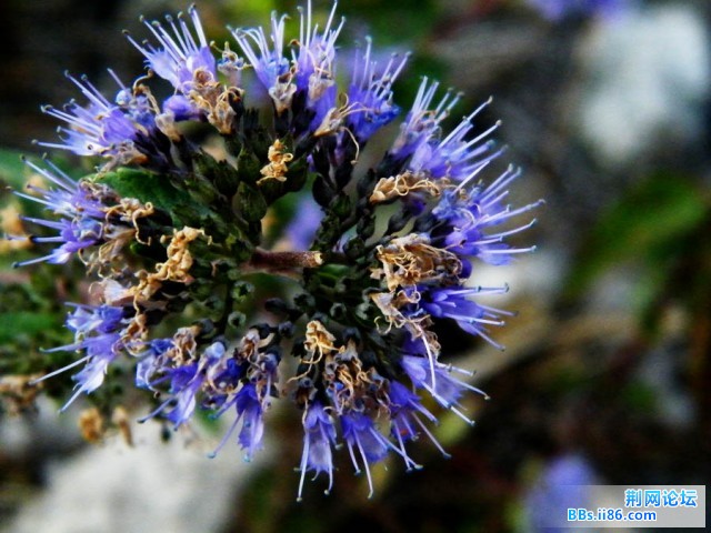 DSCF2997.JPG