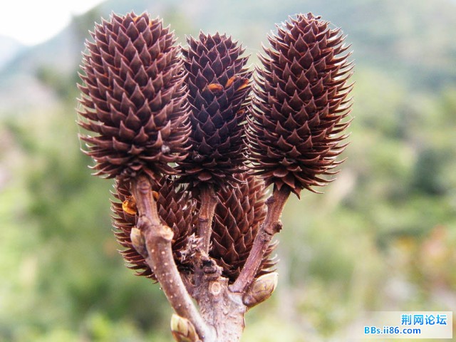DSCF3603.JPG