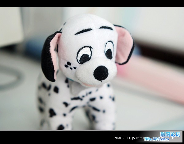 nEO_IMG_DSC_7570.jpg