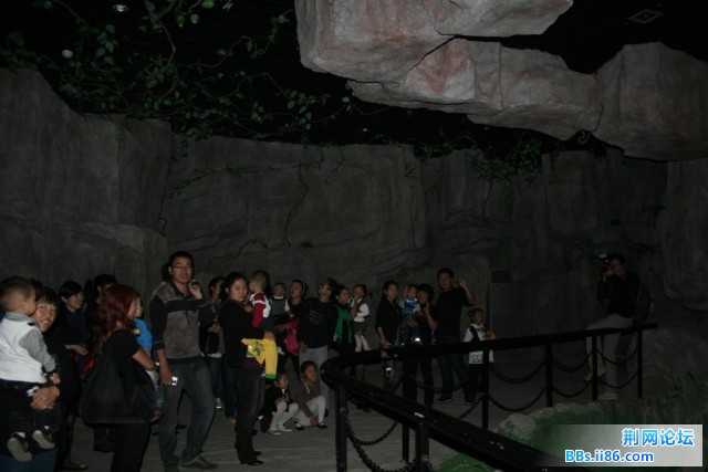 在看火山爆发哦！