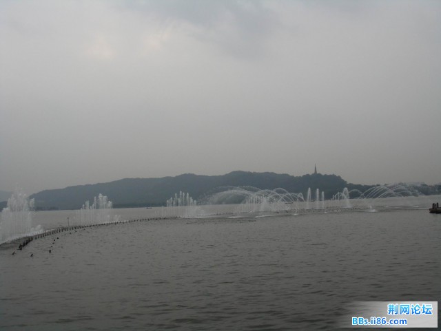 DSC02847.jpg