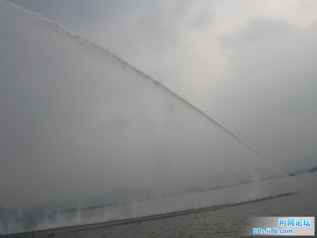DSC02818.jpg