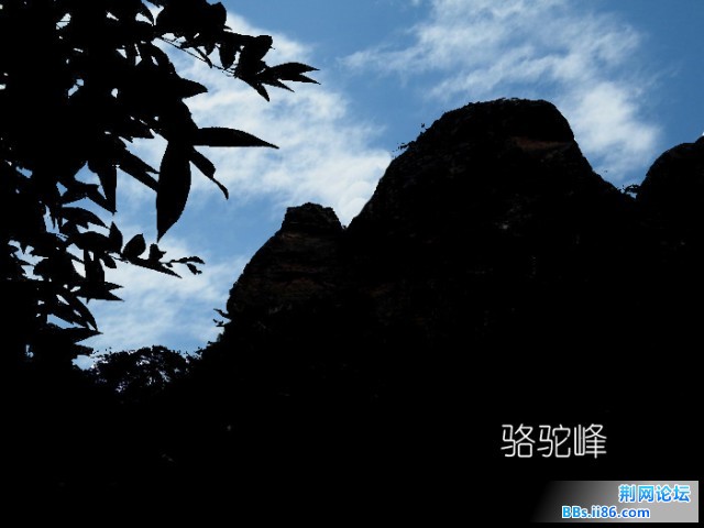 骆驼峰（DSCF4604）.JPG