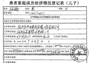 陈家提供的申报材料中，陈峰的年收入为28000元，十年总收入为84000元
