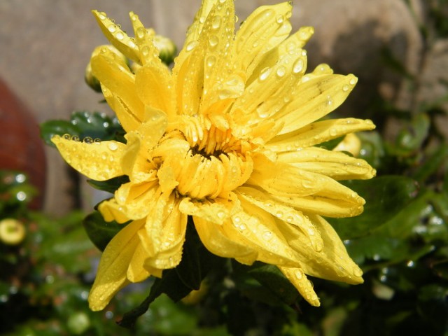 2-DSCF4798.JPG
