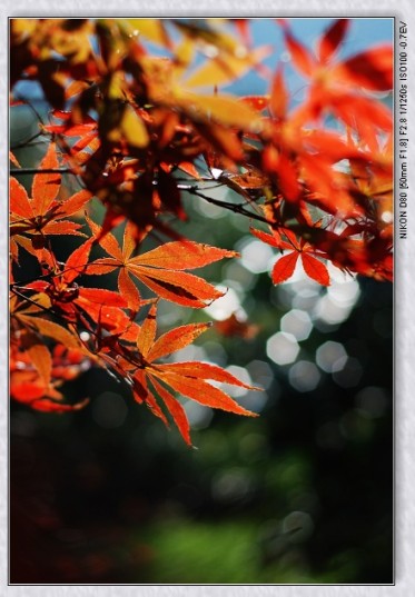 nEO_IMG_DSC_7791.jpg