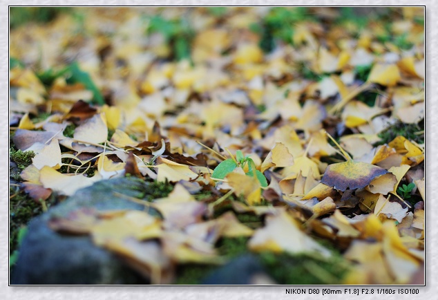 nEO_IMG_DSC_7879.jpg