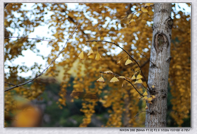 nEO_IMG_DSC_7892.jpg