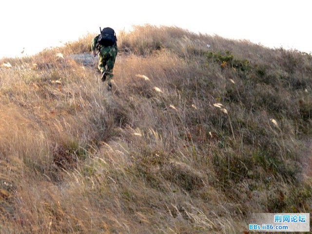 蹬山DSCF6588.JPG
