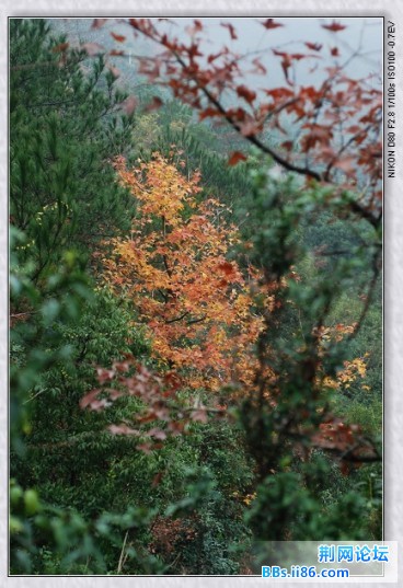 nEO_IMG_DSC_8394.jpg