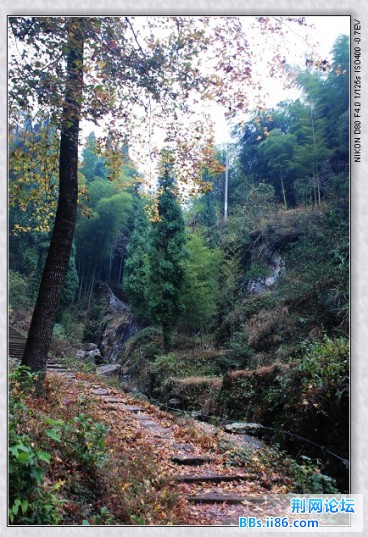 nEO_IMG_DSC_8479.jpg