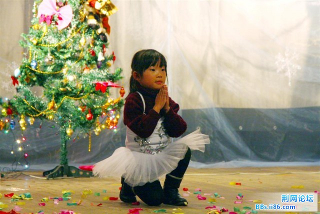 我是一颗爱心树