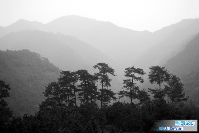 雾景下的水墨画6.jpg