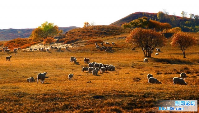 nEO_IMG_照片 101.jpg