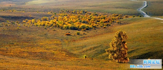 nEO_IMG_照片 120.jpg