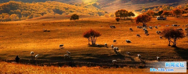 nEO_IMG_照片 106.jpg