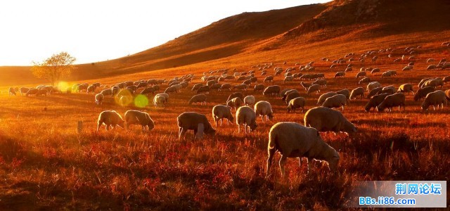 nEO_IMG_照片 163.jpg