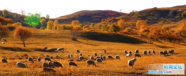 nEO_IMG_照片 102.jpg