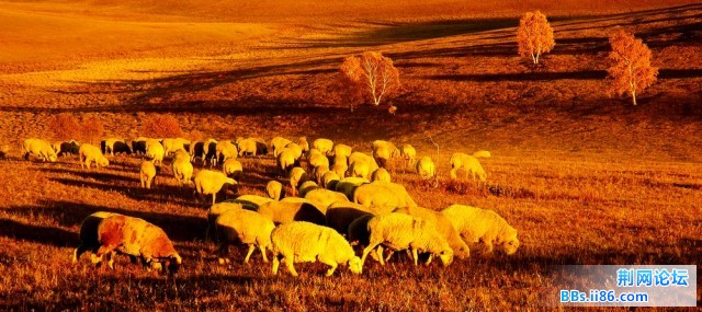 nEO_IMG_照片 198.jpg