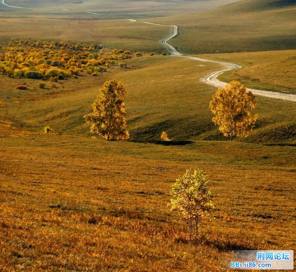 nEO_IMG_照片 116.jpg