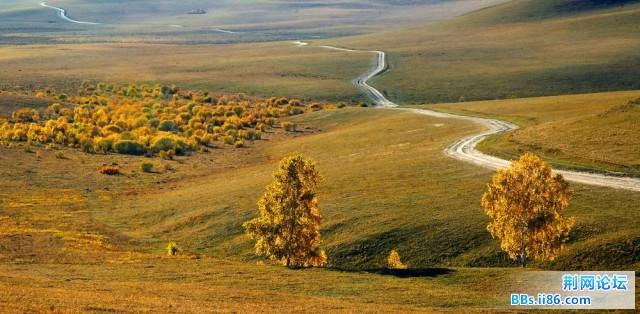 nEO_IMG_照片 119.jpg