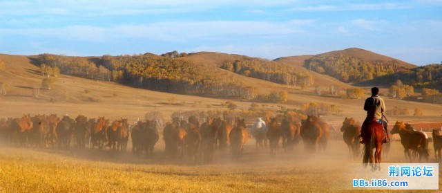 nEO_IMG_照片 136.jpg