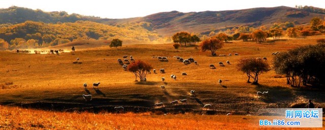 nEO_IMG_照片 105.jpg