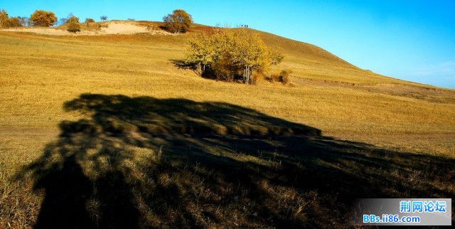 nEO_IMG_照片 143.jpg