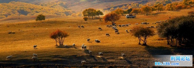 nEO_IMG_照片 108.jpg