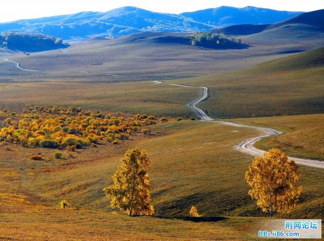 nEO_IMG_照片 115.jpg