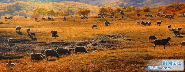 nEO_IMG_照片 100-1.jpg