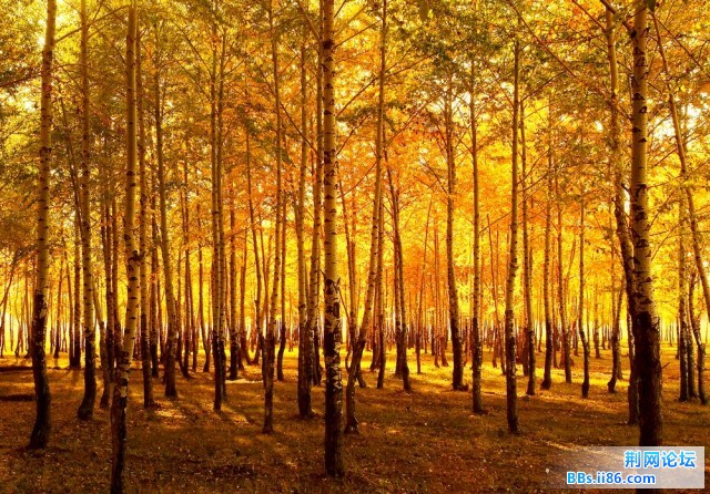 nEO_IMG_照片 028.jpg