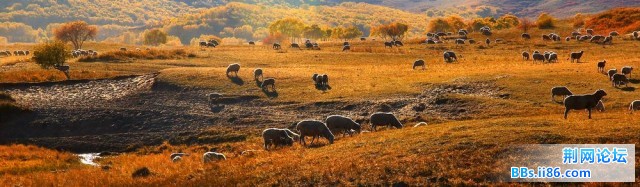 nEO_IMG_照片 100.jpg