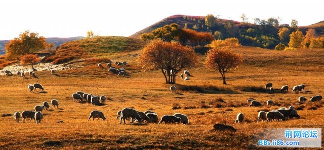 nEO_IMG_照片 099.jpg