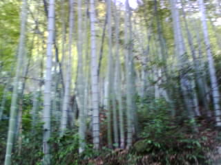照片2010 040.jpg