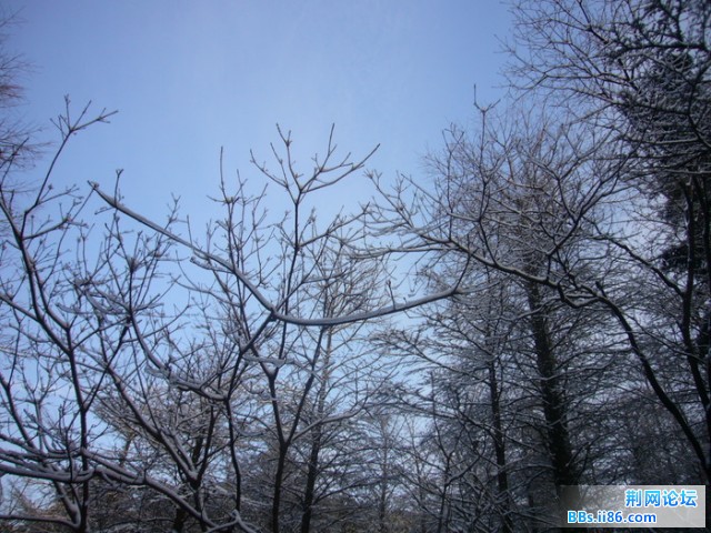 P1120109.JPG