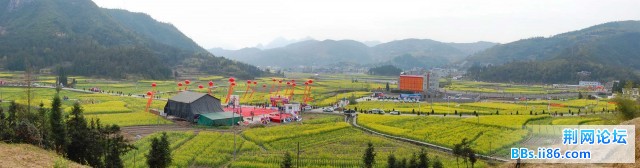 镇安 油菜节.jpg