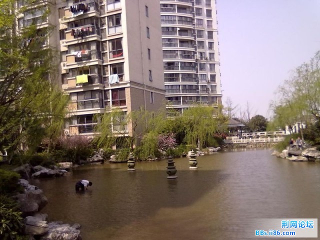 缩小版三潭印月